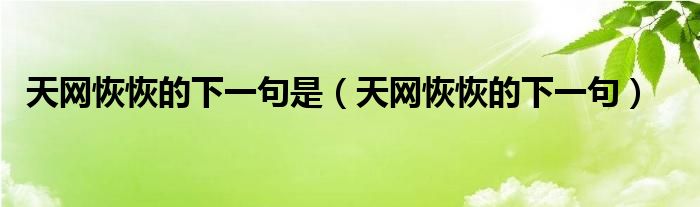 天网恢恢的下一句是（天网恢恢的下一句）