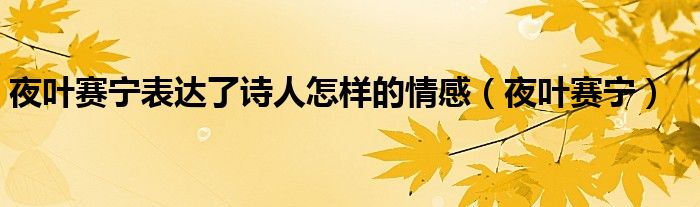 夜叶赛宁表达了诗人怎样的情感（夜叶赛宁）