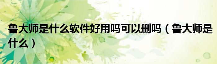 鲁大师是什么软件好用吗可以删吗（鲁大师是什么）