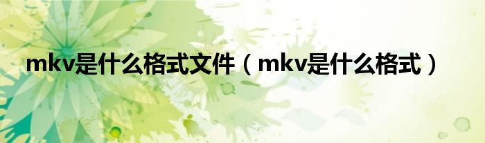 mkv是什么格式文件（mkv是什么格式）