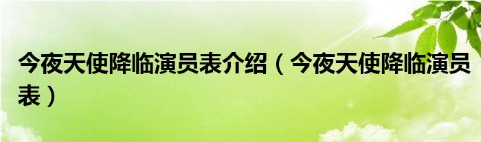 今夜天使降临演员表介绍（今夜天使降临演员表）