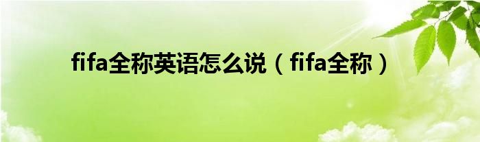 fifa全称英语怎么说（fifa全称）