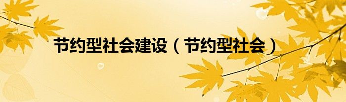 节约型社会建设（节约型社会）