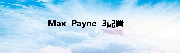 Max  Payne  3配置