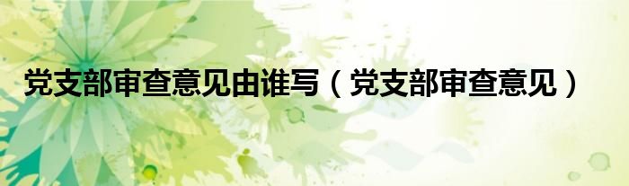 党支部审查意见由谁写（党支部审查意见）