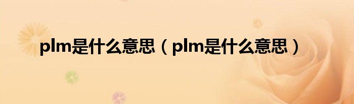 plm是什么意思（plm是什么意思）