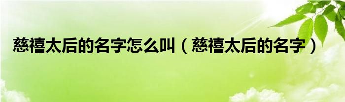 慈禧太后的名字怎么叫（慈禧太后的名字）