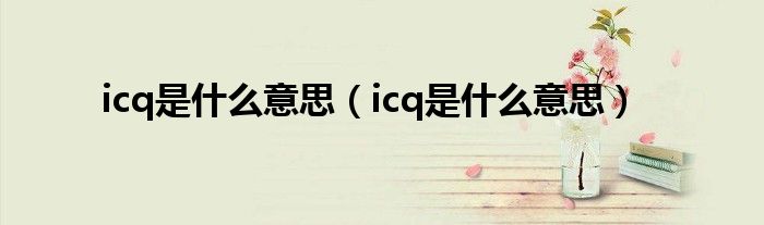 icq是什么意思（icq是什么意思）