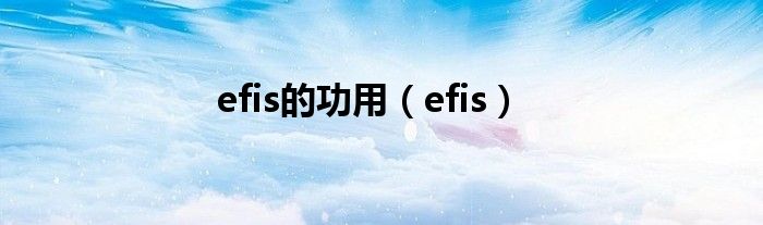 efis的功用（efis）