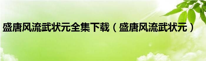 盛唐风流武状元全集下载（盛唐风流武状元）