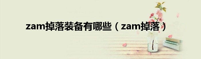 zam掉落装备有哪些（zam掉落）