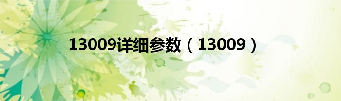 13009详细参数（13009）