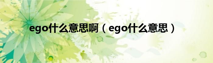 ego什么意思啊（ego什么意思）