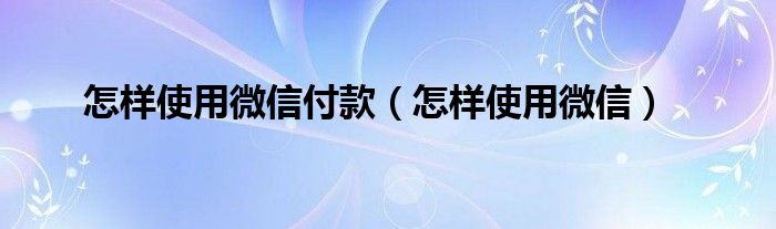 怎样使用微信付款（怎样使用微信）