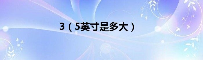 3（5英寸是多大）