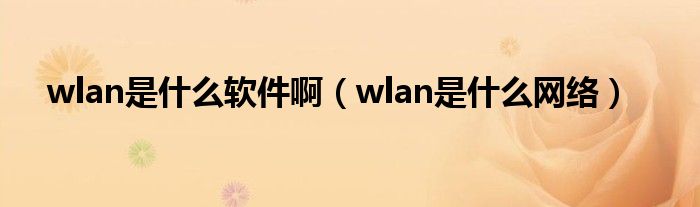 wlan是什么软件啊（wlan是什么网络）