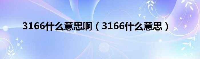 3166什么意思啊（3166什么意思）