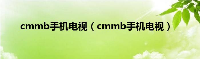 cmmb手机电视（cmmb手机电视）