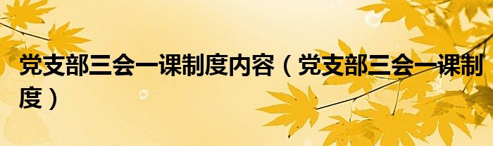 党支部三会一课制度内容（党支部三会一课制度）