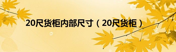 20尺货柜内部尺寸（20尺货柜）