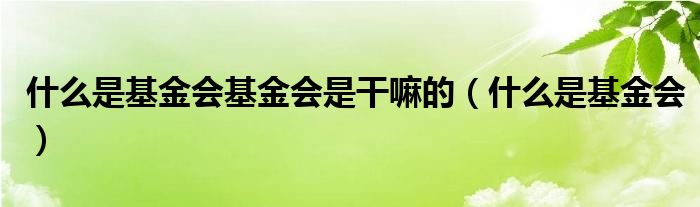 什么是基金会基金会是干嘛的（什么是基金会）