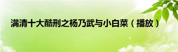 满清十大酷刑之杨乃武与小白菜（播放）