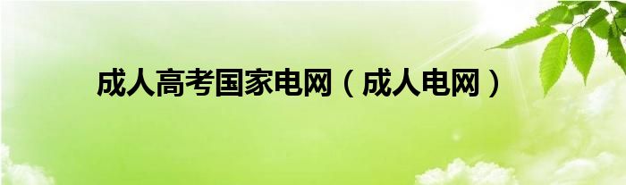 成人高考国家电网（成人电网）