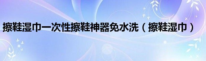 擦鞋湿巾一次性擦鞋神器免水洗（擦鞋湿巾）