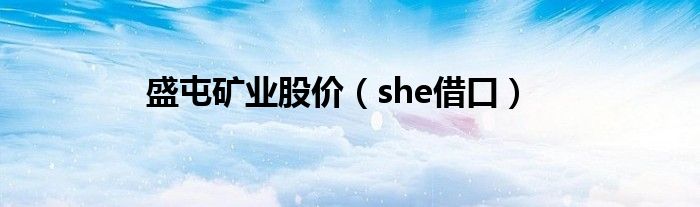 盛屯矿业股价（she借口）