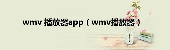 wmv 播放器app（wmv播放器）