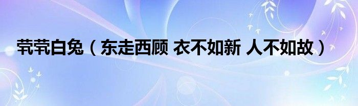 茕茕白兔（东走西顾 衣不如新 人不如故）