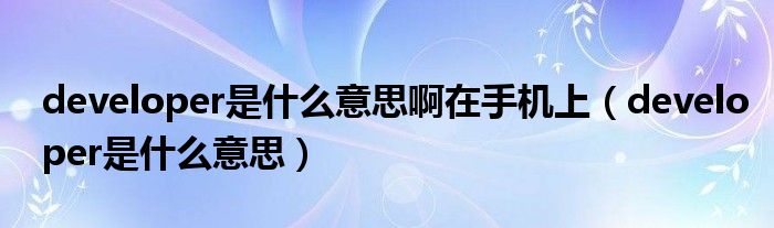 developer是什么意思啊在手机上（developer是什么意思）