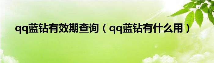 qq蓝钻有效期查询（qq蓝钻有什么用）