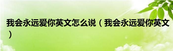 我会永远爱你英文怎么说（我会永远爱你英文）