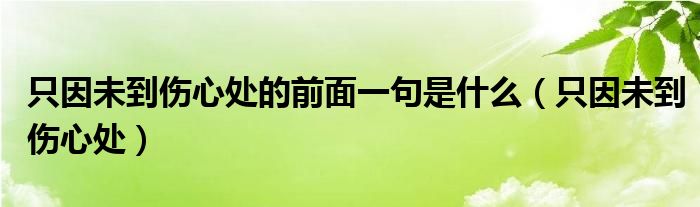 只因未到伤心处的前面一句是什么（只因未到伤心处）