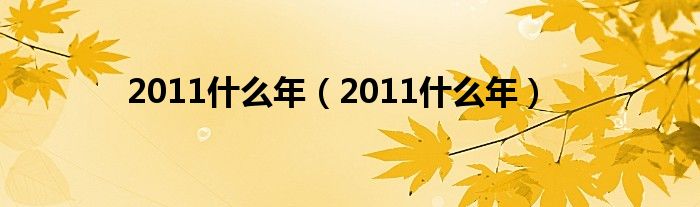 2011什么年（2011什么年）