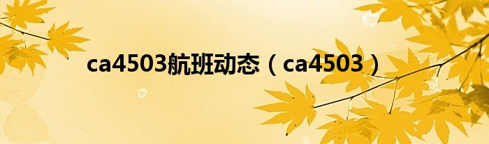 ca4503航班动态（ca4503）