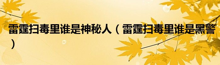 雷霆扫毒里谁是神秘人（雷霆扫毒里谁是黑警）