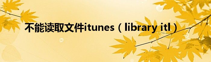 不能读取文件itunes（library itl）