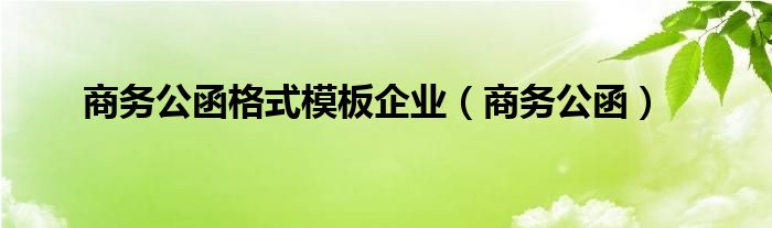 商务公函格式模板企业（商务公函）