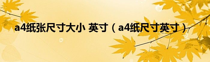 a4纸张尺寸大小 英寸（a4纸尺寸英寸）