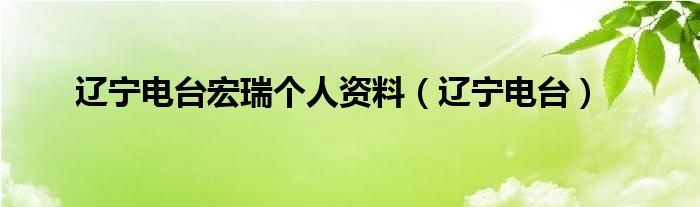 辽宁电台宏瑞个人资料（辽宁电台）