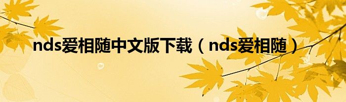 nds爱相随中文版下载（nds爱相随）