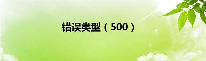 错误类型（500）