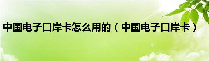 中国电子口岸卡怎么用的（中国电子口岸卡）