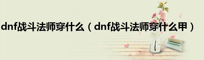 dnf战斗法师穿什么（dnf战斗法师穿什么甲）