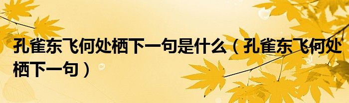 孔雀东飞何处栖下一句是什么（孔雀东飞何处栖下一句）