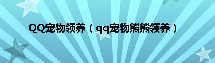 QQ宠物领养（qq宠物熊熊领养）