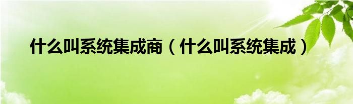 什么叫系统集成商（什么叫系统集成）