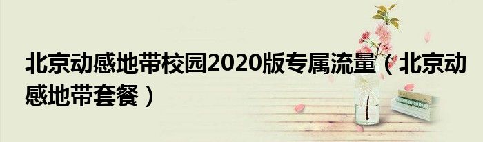 北京动感地带校园2020版专属流量（北京动感地带套餐）